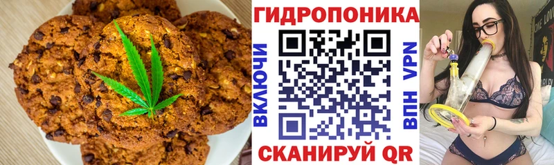 Canna-Cookies марихуана закладки Лесной
