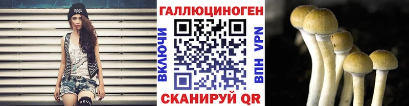 Галлюциногенные грибы Psilocybine cubensis  нарко площадка клад  Лесной 